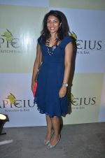 at Apicus lounge launch in Mumbai on 29th March 2012 (160).JPG